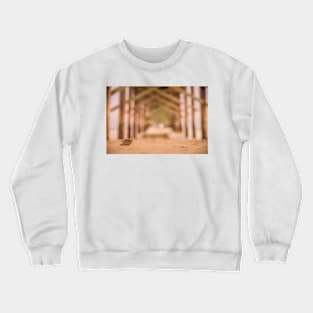 Shells scapes 4 Crewneck Sweatshirt